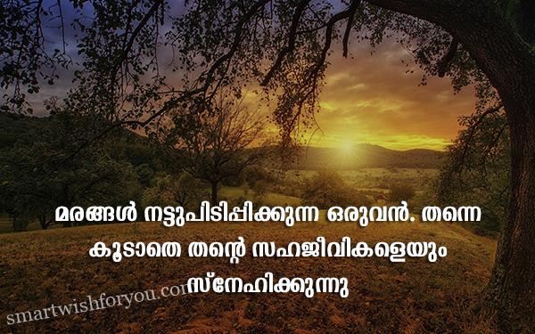 World Environment Day Quotes In Malayalam | Best Wishes For You!