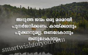 World Environment Day Quotes In Malayalam | Best Wishes For You!