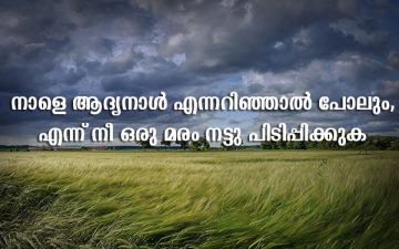 World Environment Day Quotes In Malayalam | Best Wishes For You!