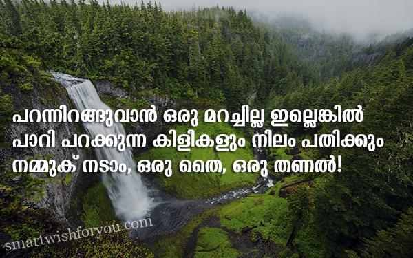 World Environment Day Quotes In Malayalam