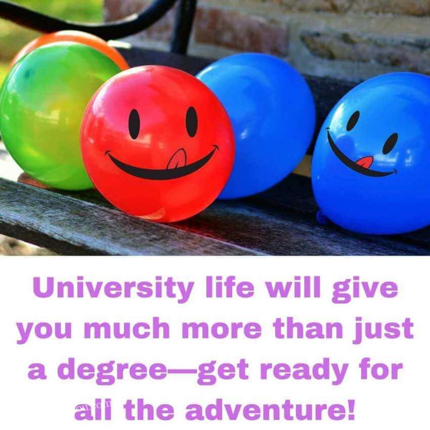 University life will give you much more than just a degree—get ready for all the adventure!