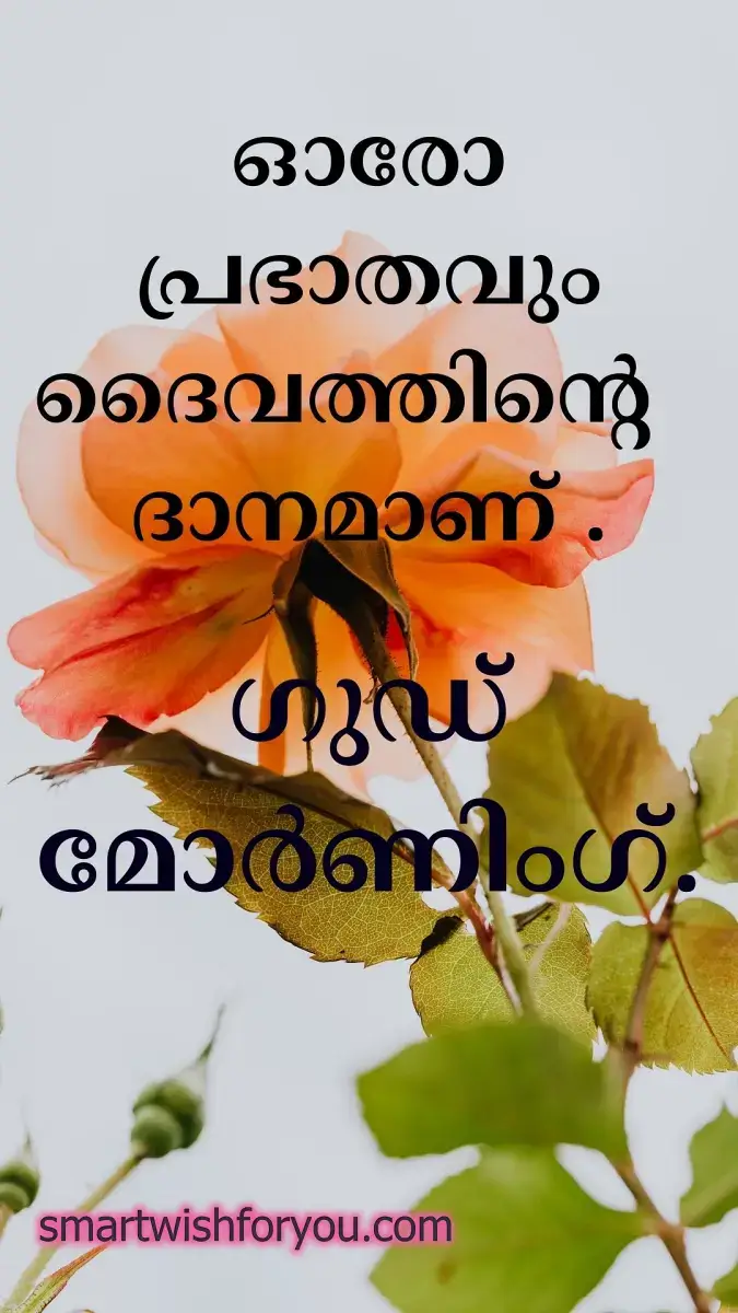 good morning Malayalam dialogue