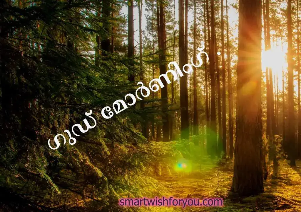 good morning images with positive words in Malayalam