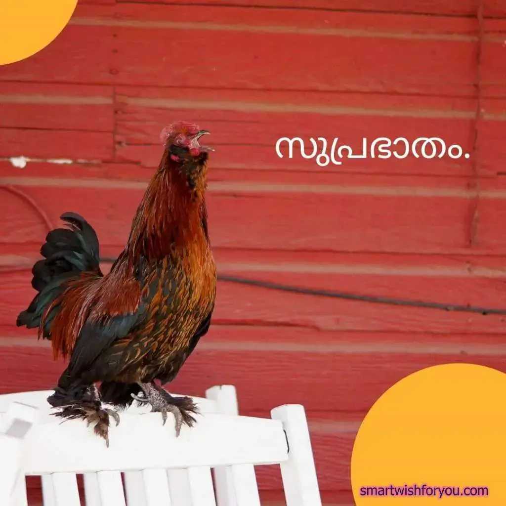 positive good morning quotes in Malayalam