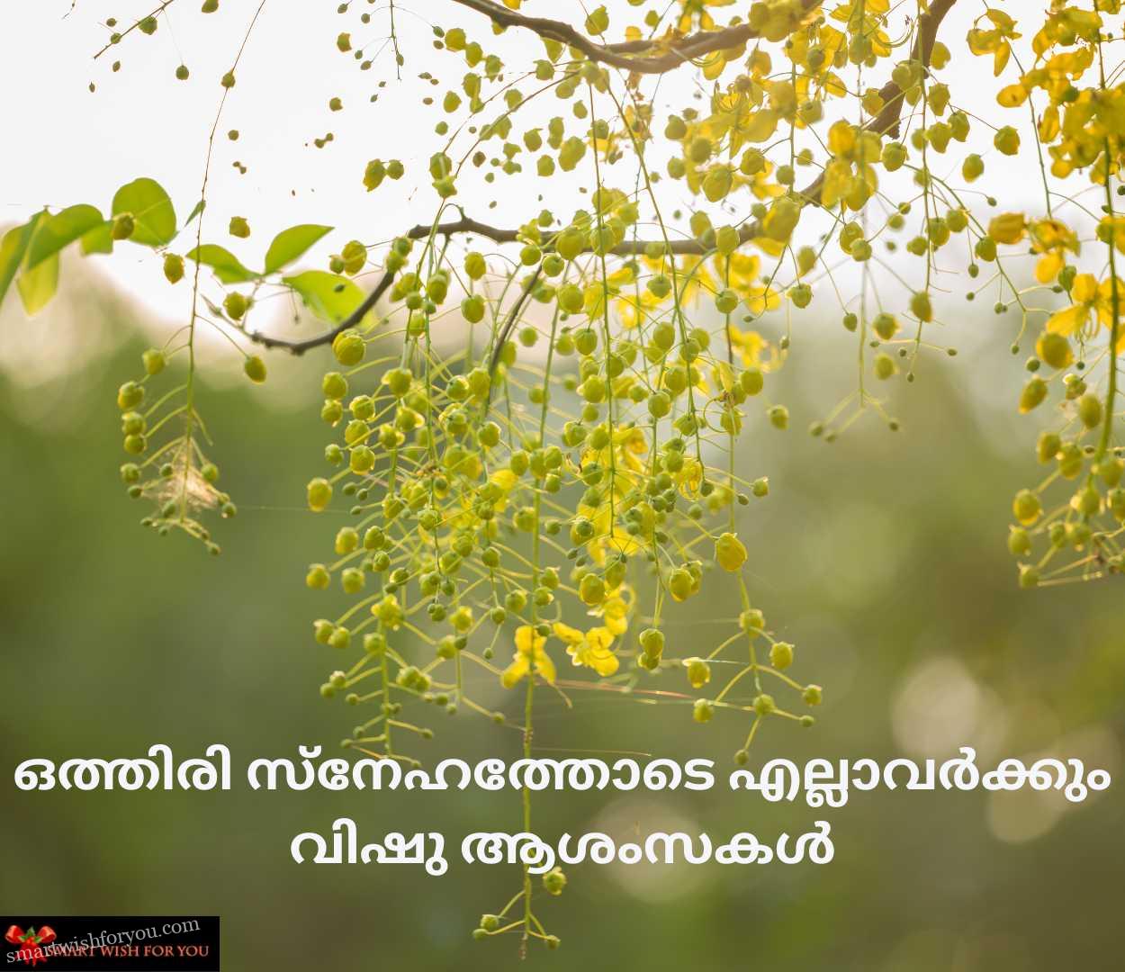 Vishu images Malayalam Download | Vishu images in Malayalam