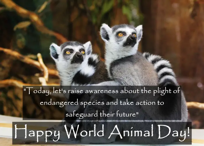 World animal day wishes