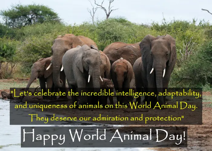 World animal day wishes