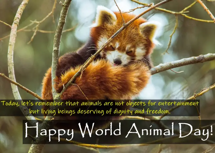 World animal day wishes