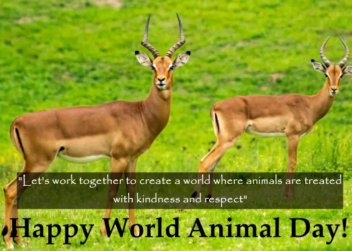 World animal day wishes