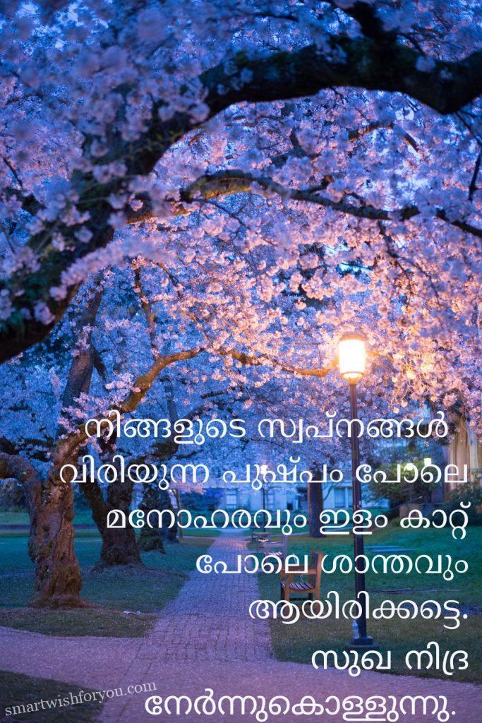 good night messages for friends in malayalam