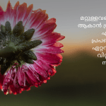 Good Morning Quotes Malayalam | Beautiful Good Morning Malayalam Images