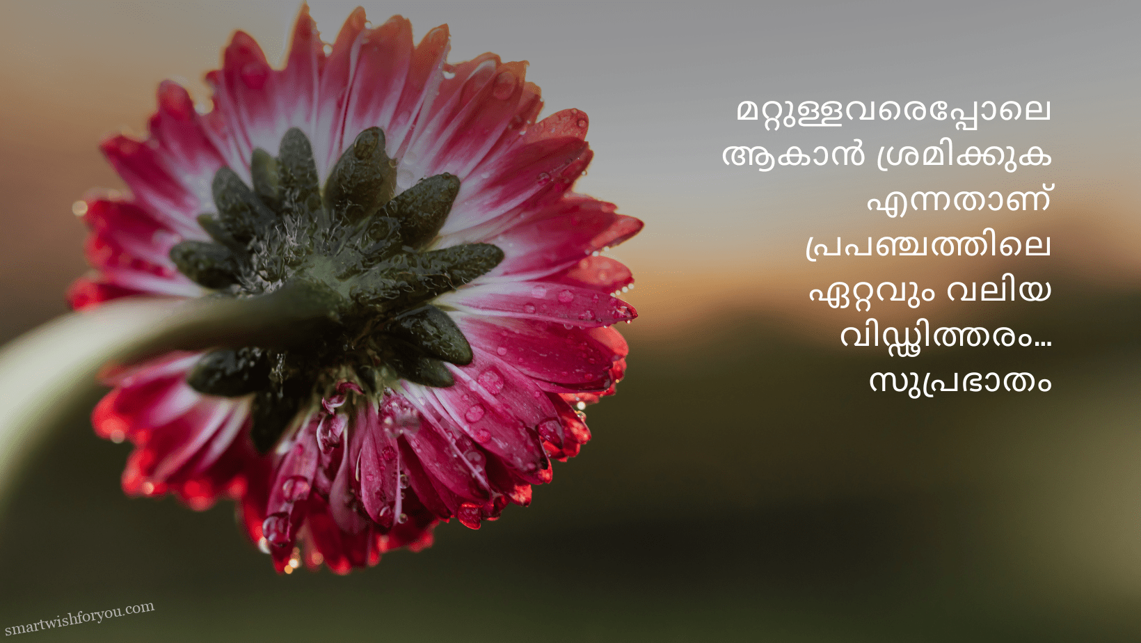 i will call you morning meaning in malayalam text